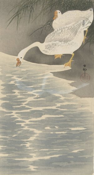 Geese on the bank by Ohara Koson Oil Painting