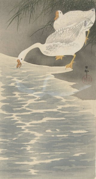Main Product Photo of Geese on the bank  Painting by Ohara Koson