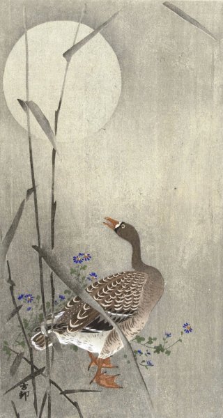 Goose at full moon  by Ohara Koson - Hand-Painted Oil Painting Reproduction