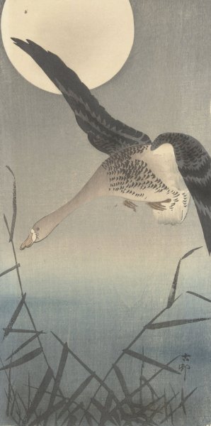 Goose by Ohara Koson Oil Painting