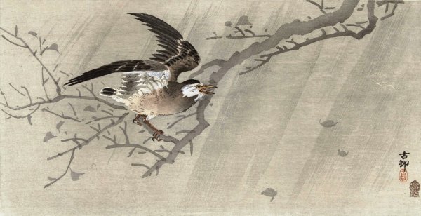 Main Product Photo of Gray starling in storm  Painting by Ohara Koson