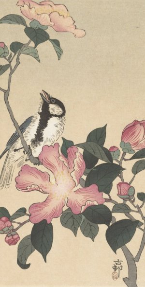 Great tit on branch with pink flowers by Ohara Koson Oil Painting