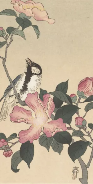 Great tit on branch with pink flowers by Ohara Koson Oil Painting