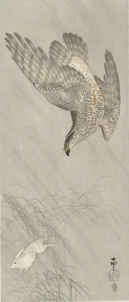 Hawk hunting for hare by Ohara Koson Oil Painting
