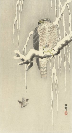 Hawk with captive tree sparrow by Ohara Koson Oil Painting