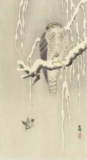 Hawk with captive tree sparrow by Ohara Koson Oil Painting