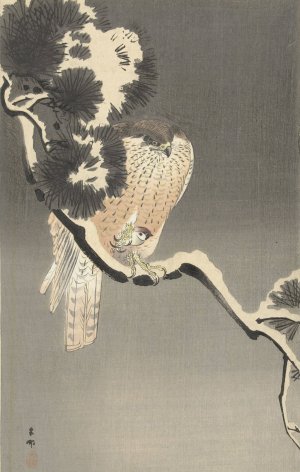 Hawk with sparrow by Ohara Koson Oil Painting