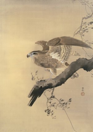 Hawk by Ohara Koson Oil Painting