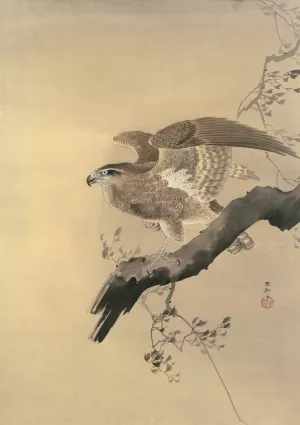 Hawk by Ohara Koson Oil Painting