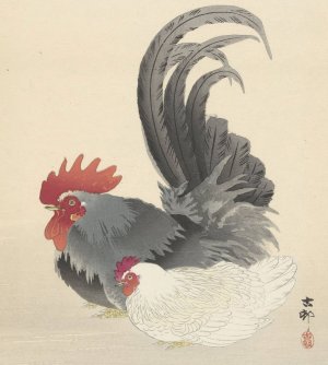 Hen and rooster by Ohara Koson Oil Painting