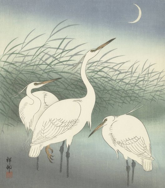 Main Product Photo of Herons in shallow water  Painting by Ohara Koson