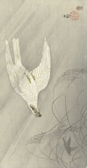 Hunting hawk by Ohara Koson Oil Painting