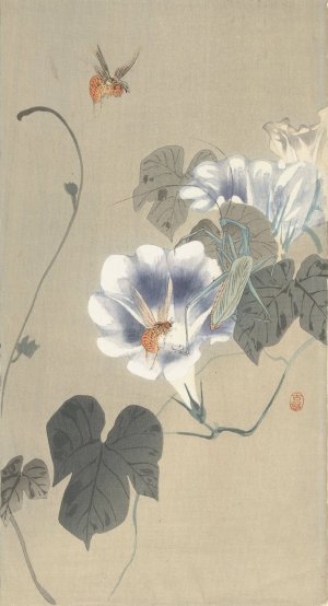 Insects at bindweed by Ohara Koson Oil Painting