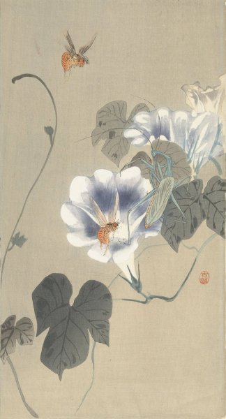 Insects at bindweed  by Ohara Koson - Hand-Painted Oil Painting Reproduction