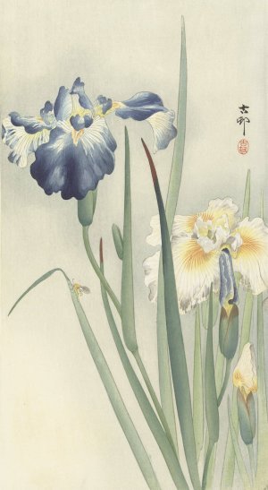 Irises by Ohara Koson Oil Painting