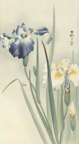 Irises by Ohara Koson Oil Painting