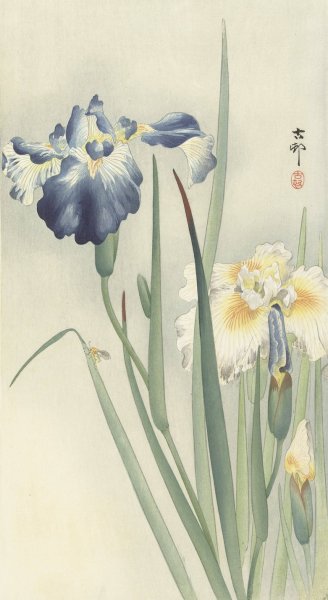 Irises  by Ohara Koson - Hand-Painted Oil Painting Reproduction
