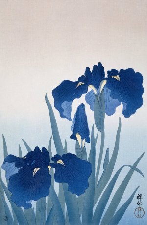 Irises by Ohara Koson Oil Painting