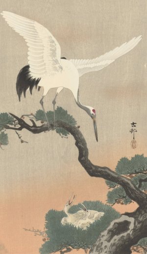 Japanese common crane on branch of pine by Ohara Koson Oil Painting