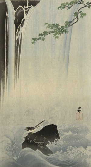 Japanese wagtail at waterfall by Ohara Koson Oil Painting