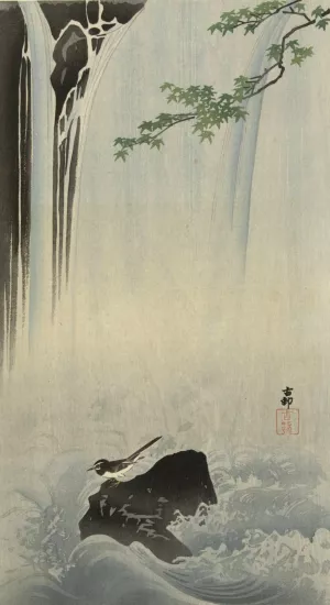 Japanese wagtail at waterfall by Ohara Koson Oil Painting