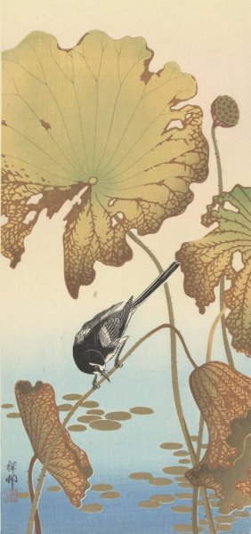 Japanese wagtail on lotus plant by Ohara Koson Oil Painting