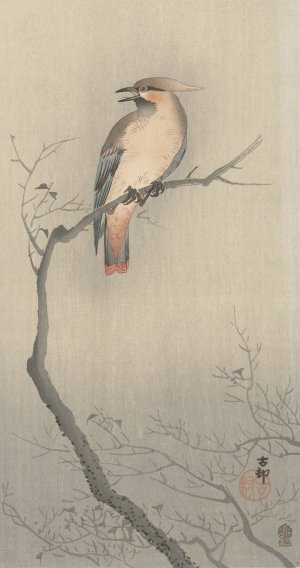 Japanese waxwing on branch by Ohara Koson Oil Painting
