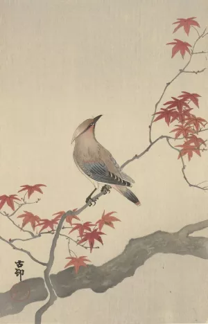 Japanese waxwing on maple by Ohara Koson Oil Painting