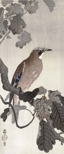 Jay on tree branch by Ohara Koson Oil Painting