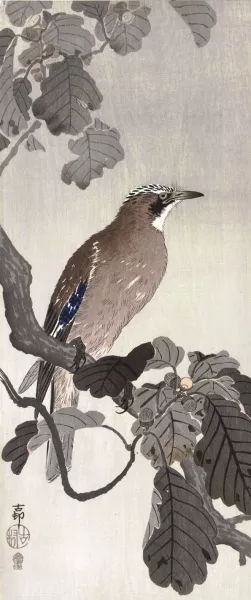 Jay on tree branch by Ohara Koson Oil Painting