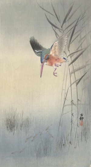 Kingfisher hunting for fish by Ohara Koson Oil Painting