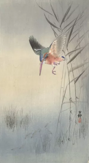 Kingfisher hunting for fish by Ohara Koson Oil Painting
