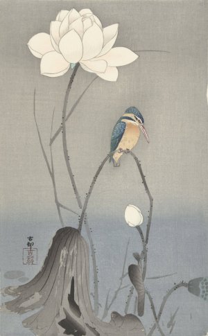 Kingfisher with Lotus Flower by Ohara Koson Oil Painting