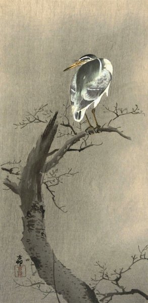Kwak on branch by Ohara Koson Oil Painting