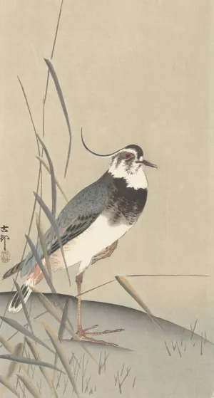 Lapwing and reed by Ohara Koson Oil Painting