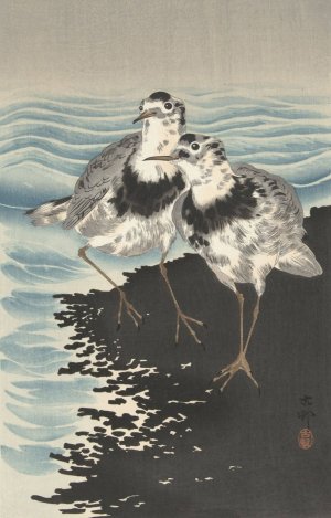 Large knot sandpipers by Ohara Koson Oil Painting
