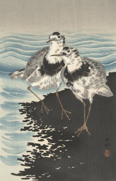 Large knot sandpipers  by Ohara Koson - Hand-Painted Oil Painting Reproduction
