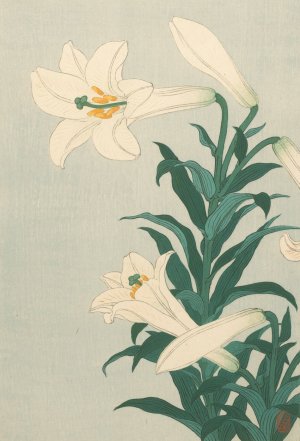 Lilies by Ohara Koson Oil Painting