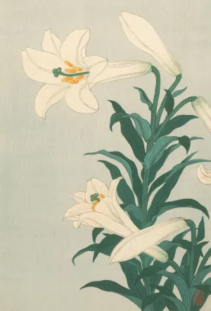 Lilies by Ohara Koson Oil Painting