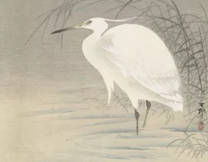 Little Egret by Ohara Koson Oil Painting