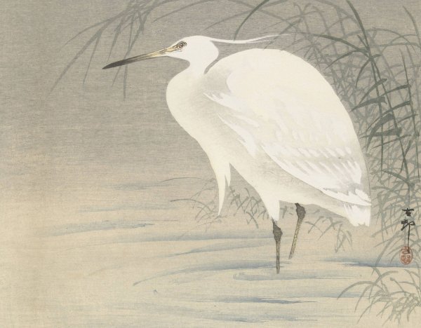 Little Egret by Ohara Koson - Hand-Painted Oil Painting Reproduction