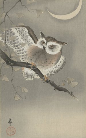 Long-eared owl in ginkgo by Ohara Koson Oil Painting