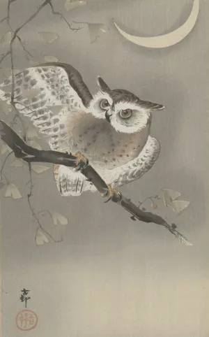 Long-eared owl in ginkgo by Ohara Koson Oil Painting