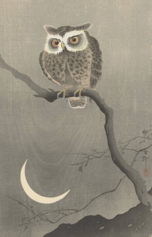 Long-eared owl on bare tree branch by Ohara Koson Oil Painting