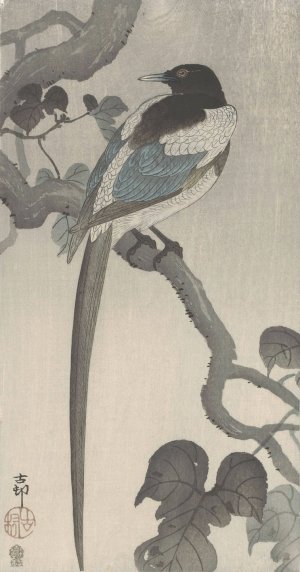 Magpie on tree branch by Ohara Koson Oil Painting