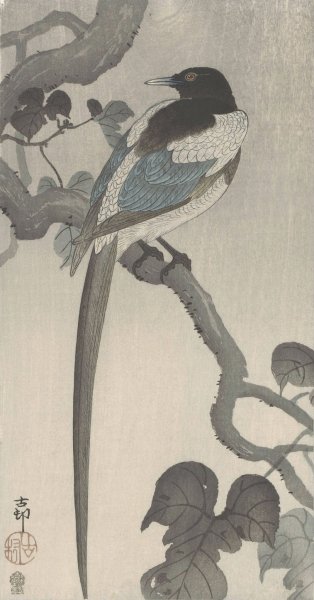 Magpie on tree branch  by Ohara Koson - Hand-Painted Oil Painting Reproduction