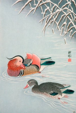 Mandarin Ducks by Ohara Koson Oil Painting