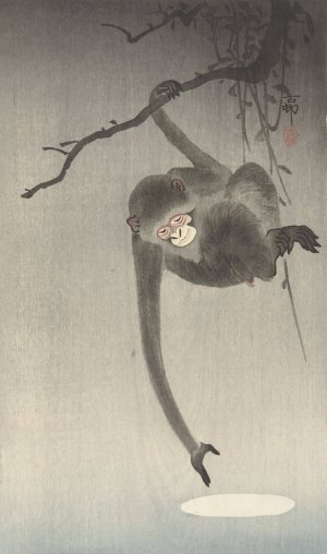 Monkey and reflection of the moon by Ohara Koson Oil Painting