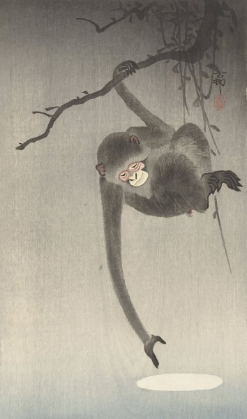 Monkey and reflection of the moon  by Ohara Koson - Hand-Painted Oil Painting Reproduction