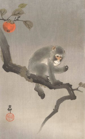 Monkey in kaki tree by Ohara Koson Oil Painting